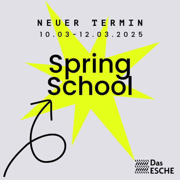 Grafik für die Spring school - ein neonfarbener Stern auf beigem Grund